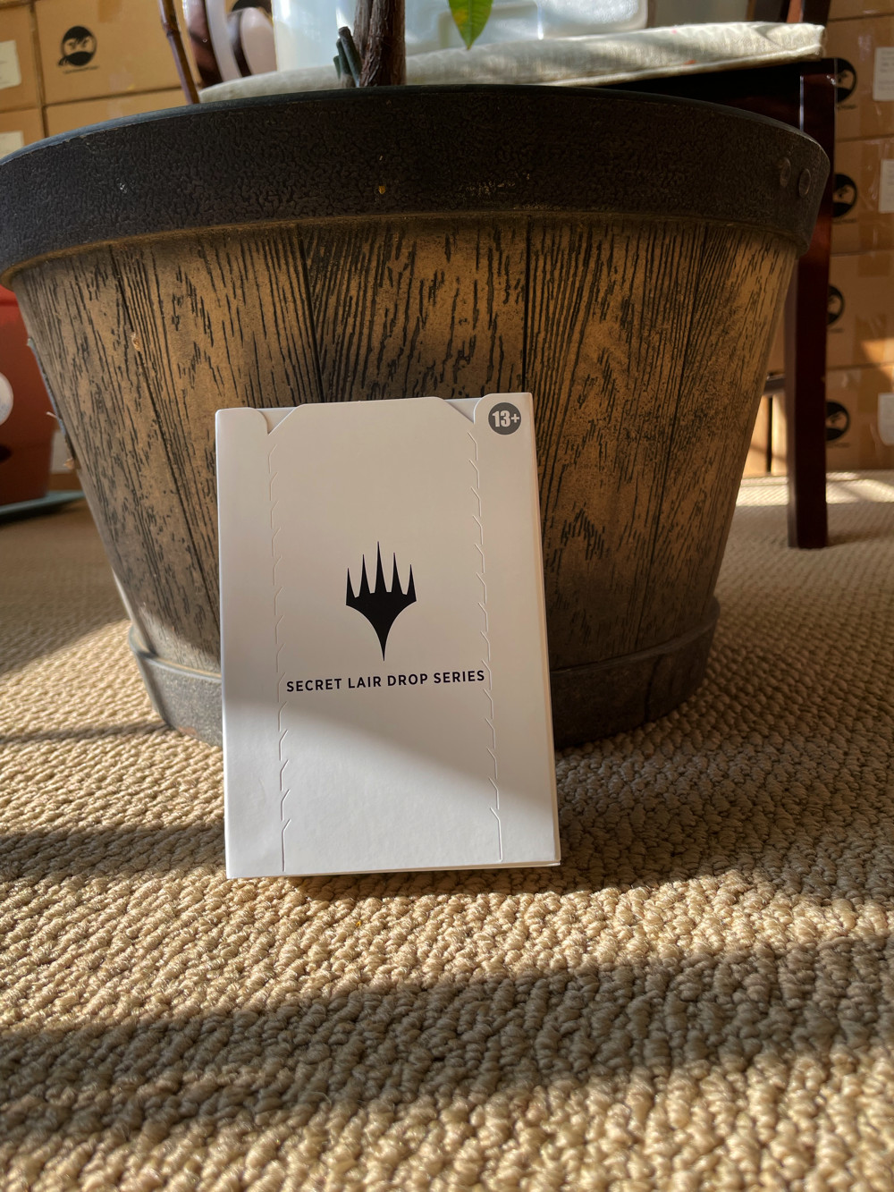 MTG Secret Lair Artist Series Special Guest: Mark Poole NON-Foil Edition SEALED