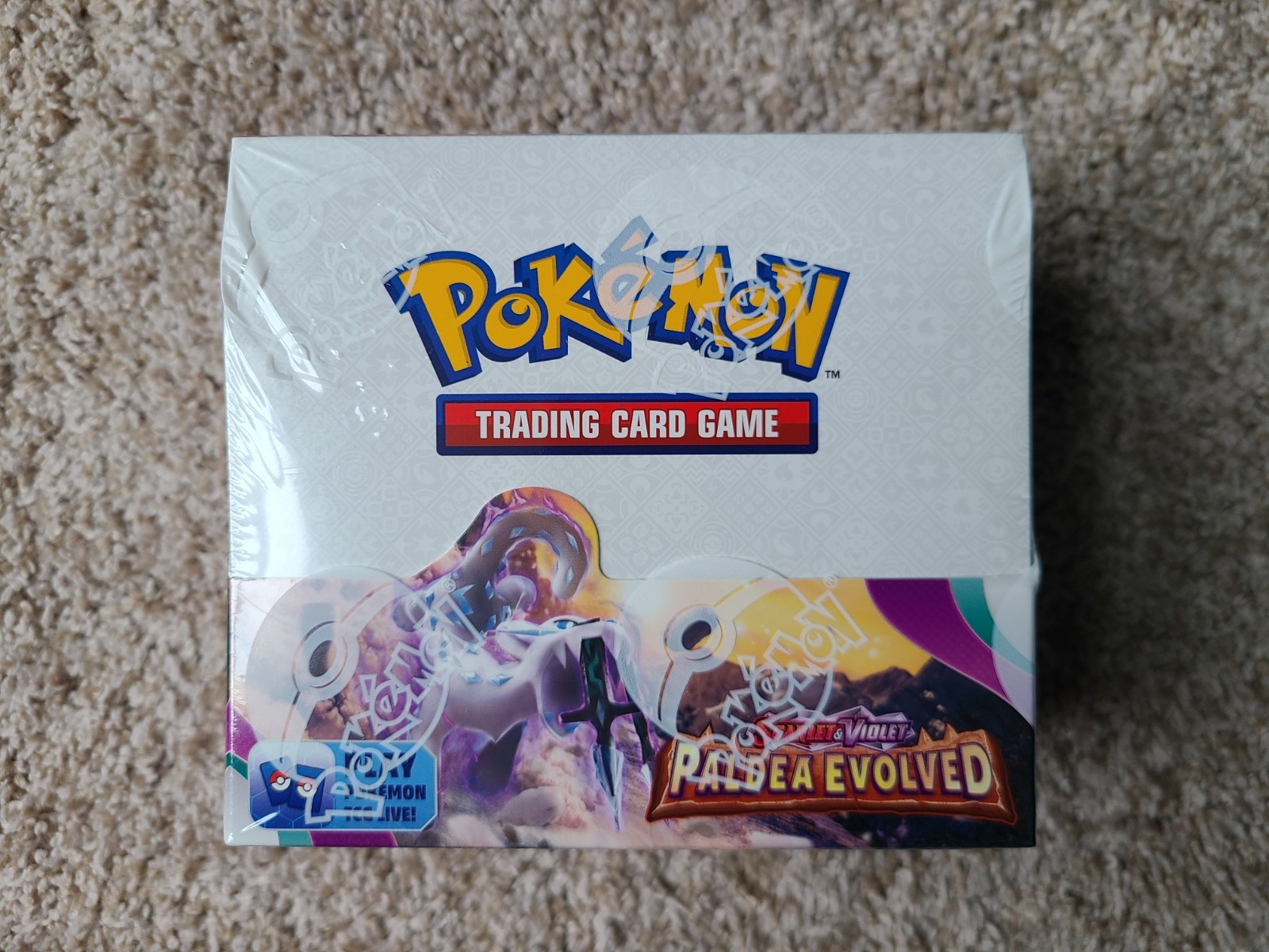 Pokemon TCG Paldea Evolved Booster Box Factory Sealed 2023 Eng 36 packs SV