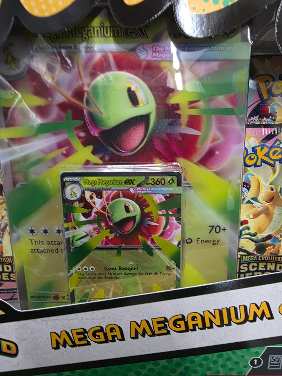 Pokemon TCG Mega Meganium ex Box Mega Evolution Ascended Heroes – New Sealed