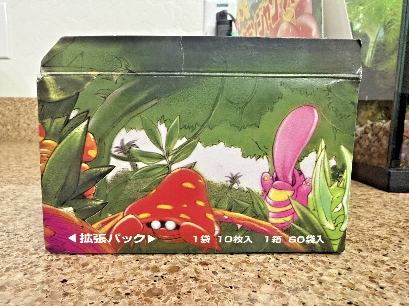 Pokémon (Japanese) Jungle Booster Box Empty – Vintage 1990s WOTC Era