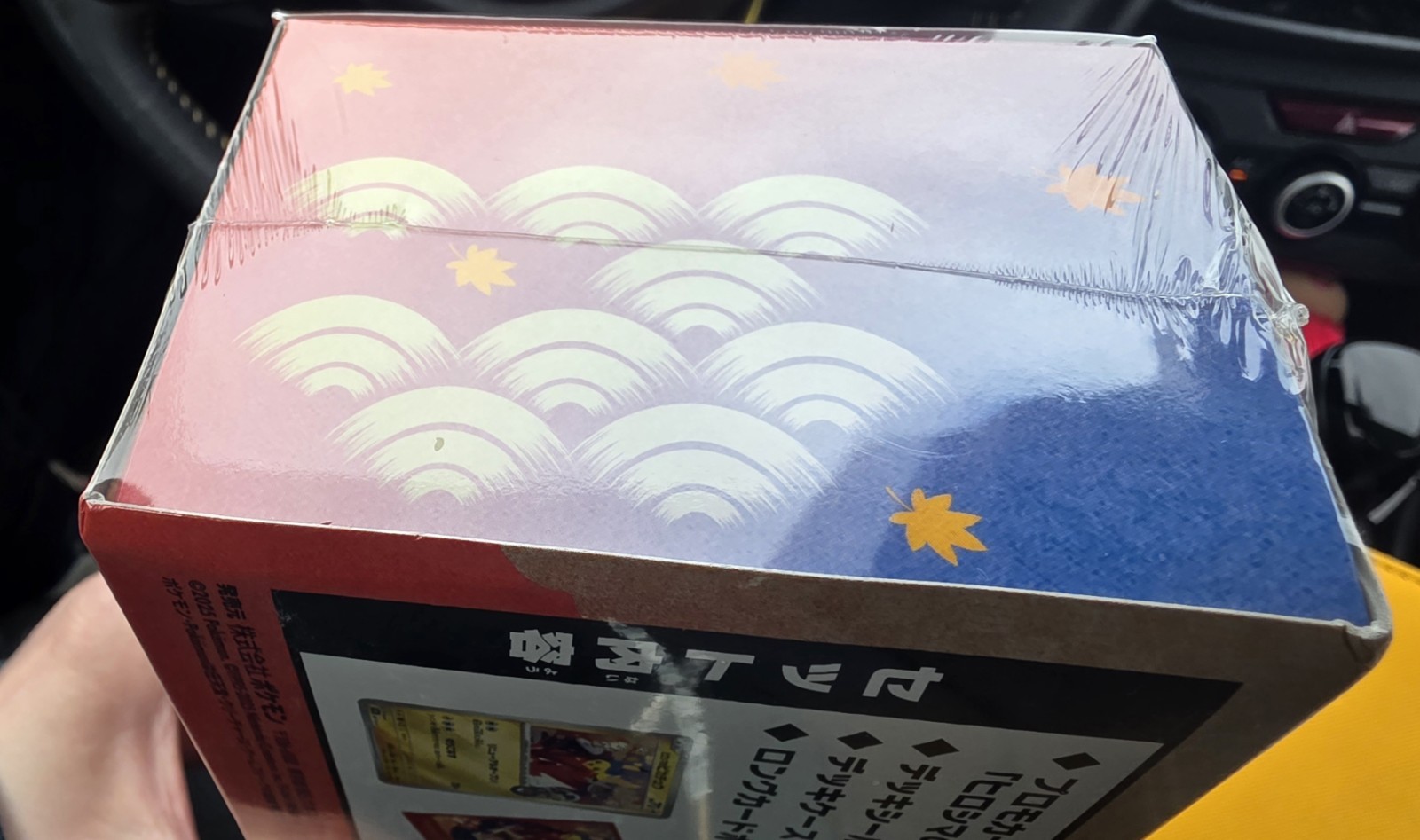 Pokémon Center Hiroshima Special Box Japanese Promo Special Edition 2015 65