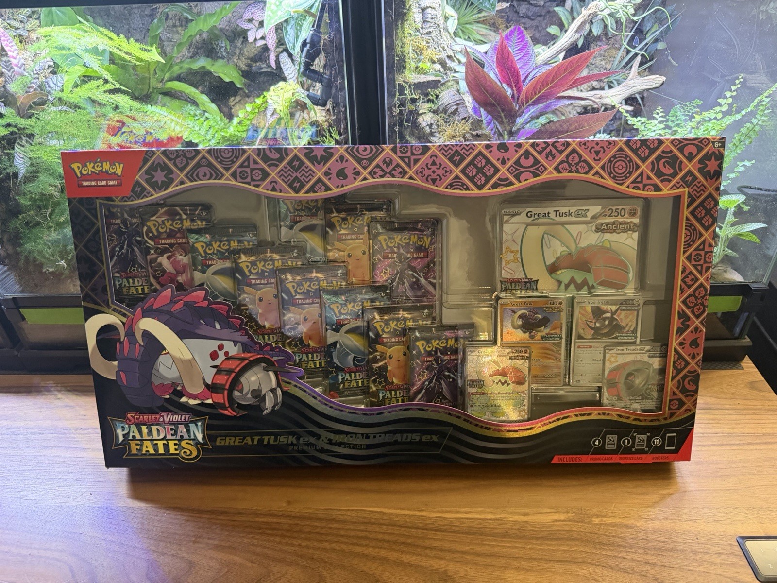 Pokémon Paldean Fates Great Tusk Iron Treads ex Premium Collection Ships TODAY